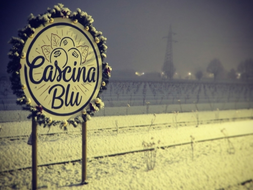 Cascina-blu™-19